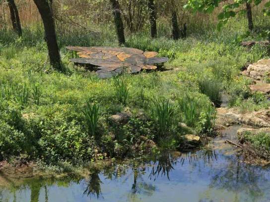 Affleurement de Christophe Gonnet - Sers, Charente, Nouvelle-Aquitaine, France.