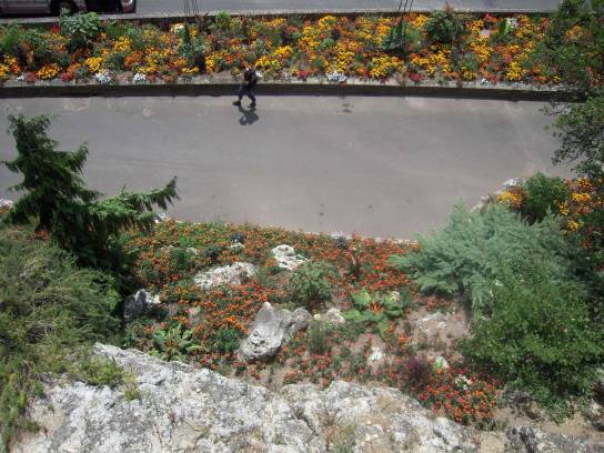 Le Jardin Vert : fleurs sur le flanc ouest de la place de Beaulieu - Angoulême, Charente, Nouvelle-Aquitaine, France.