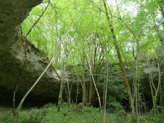 Gisements préhistoriques Les Vachons - Voulgézac, Charente, Nouvelle-Aquitaine, France.