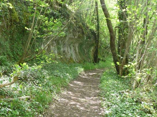 Sentier nord du gisements préhistoriques Les Vachons - Voulgézac, Charente, Nouvelle-Aquitaine, France.