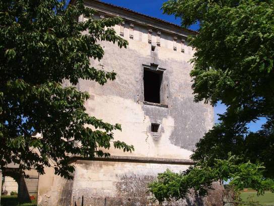 Château de Maillou : le donjon - Saint-Saturnin, Charente, Nouvelle-Aquitaine, France.