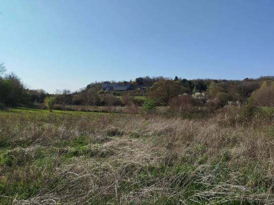 Vallée de l'Échelle, Charente, Nouvelle-Aquitaine, France.