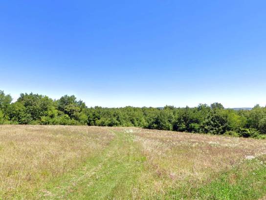 Bois de la Font des Noues - Saint-Saturnin, Charente, Nouvelle-Aquitaine, France.