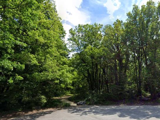 Une entrée dans le bois de Saint-Martin sur la Voie de l'Europe - Angoulême, Charente, Nouvelle-Aquitaine, France.