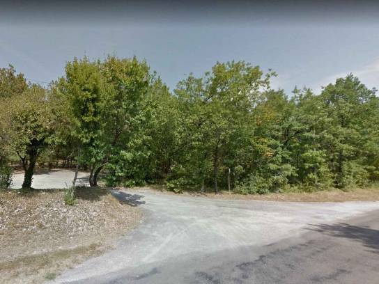Forêt de Bois Blanc - Mornac, Charente, Nouvelle-Aquitaine, France.