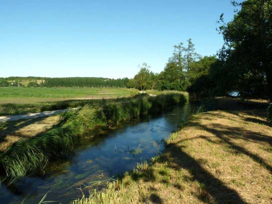 La Boëme près des étangs de Mouthiers-sur-Boëme, Charente, Nouvelle-Aquitaine, France.