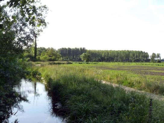 La Boëme, vue vers l'aval, entre Mouthiers-sur-Boëme et La Couronne - Charente, Nouvelle-Aquitaine, France.
