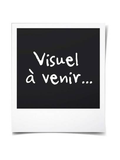 Affiche de l'évènement à venir