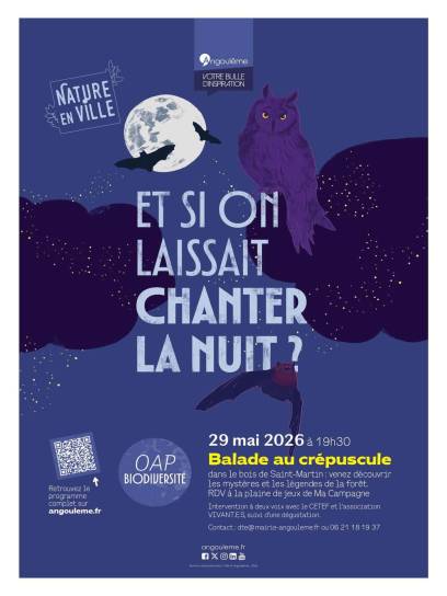 Affiche Balade au crépuscule - Angoulême, Charente, Nouvelle-Aquitaine, France.
