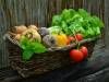 La Cueillette Fabulette - Un panier de légumes - Soyaux, Charente, Nouvelle-Aquitaine, France.