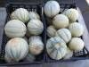EARL Desbordes - Des melons - Saint-Yrieix-sur-Charente, Charente, Nouvelle-Aquitaine, France.